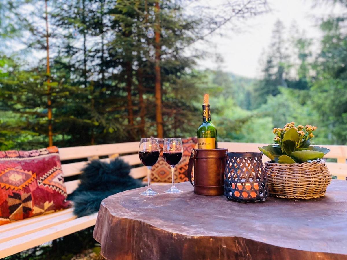 Roua Bucovinei Villa Sadova  Bagian luar foto